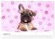 Thumbnail-12