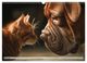 Thumbnail-8