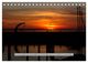 Thumbnail-13