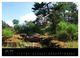 Thumbnail-9