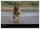 Thumbnail-9