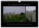 Thumbnail-13