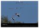 Thumbnail-12