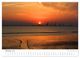 Thumbnail-11