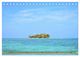 Thumbnail-8