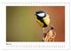 Thumbnail-10
