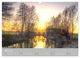 Thumbnail-8
