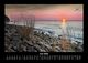Thumbnail-10