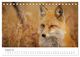 Thumbnail-13