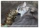 Thumbnail-11