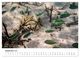 Thumbnail-10
