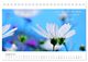 Thumbnail-13