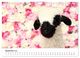 Thumbnail-11