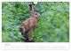 Thumbnail-9