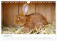 Thumbnail-14
