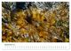 Thumbnail-13