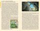 Thumbnail-16