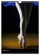 Thumbnail-12