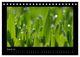 Thumbnail-10