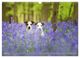 Thumbnail-9