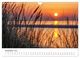 Thumbnail-14