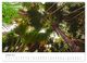 Thumbnail-12