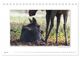 Thumbnail-12