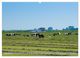 Thumbnail-10