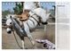 Thumbnail-13