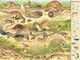Thumbnail-2