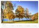 Thumbnail-10