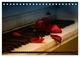 Thumbnail-11