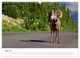 Thumbnail-10