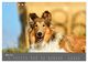 Thumbnail-10