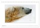 Thumbnail-11
