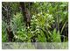 Thumbnail-13