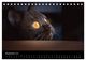 Thumbnail-11