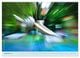 Thumbnail-10