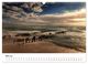 Thumbnail-10