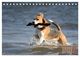 Thumbnail-8