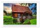 Thumbnail-14