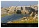 Thumbnail-8
