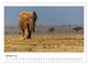 Thumbnail-11