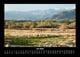 Thumbnail-11