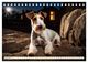 Thumbnail-11