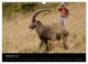 Thumbnail-14