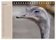 Thumbnail-11