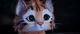 Thumbnail-8