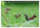 Thumbnail-12