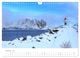Thumbnail-12